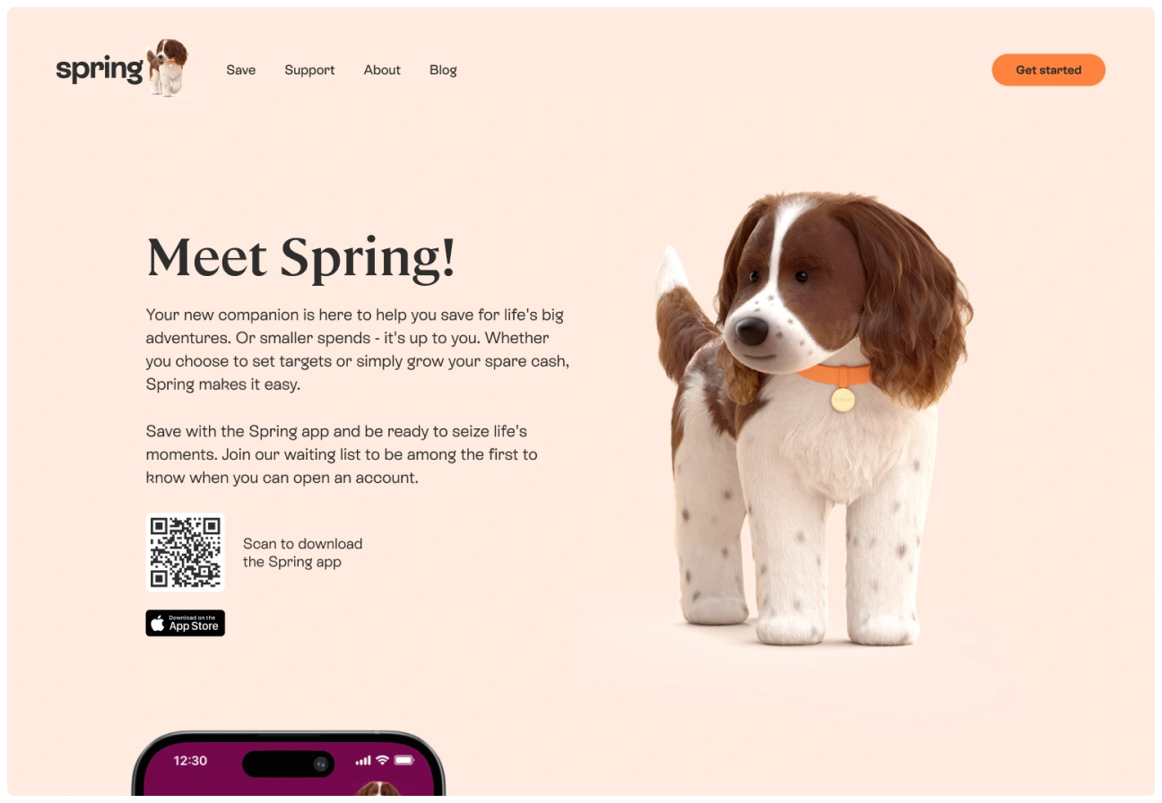 Paragon-Spring web design case study preview image